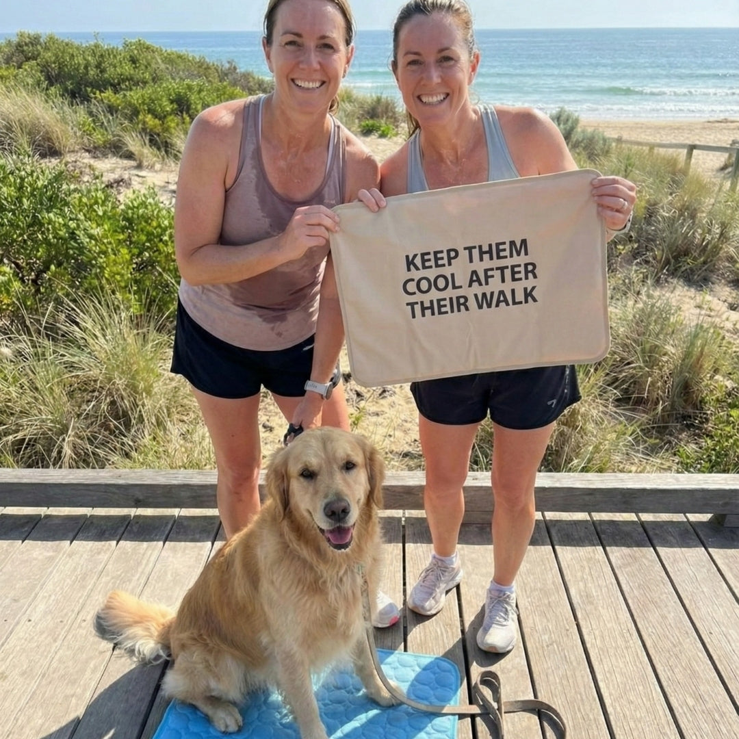 Keep them cool after their walk
