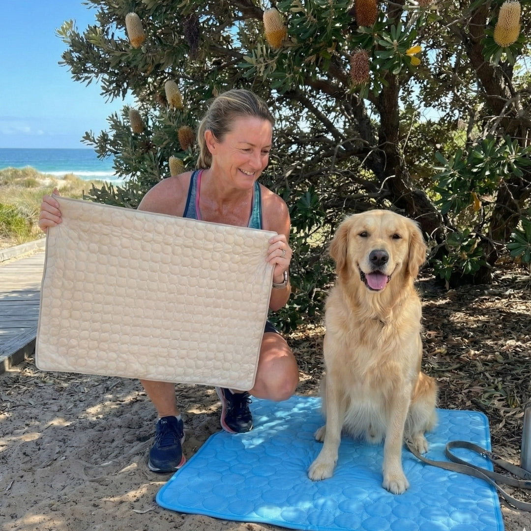 Perro en la playa con manta