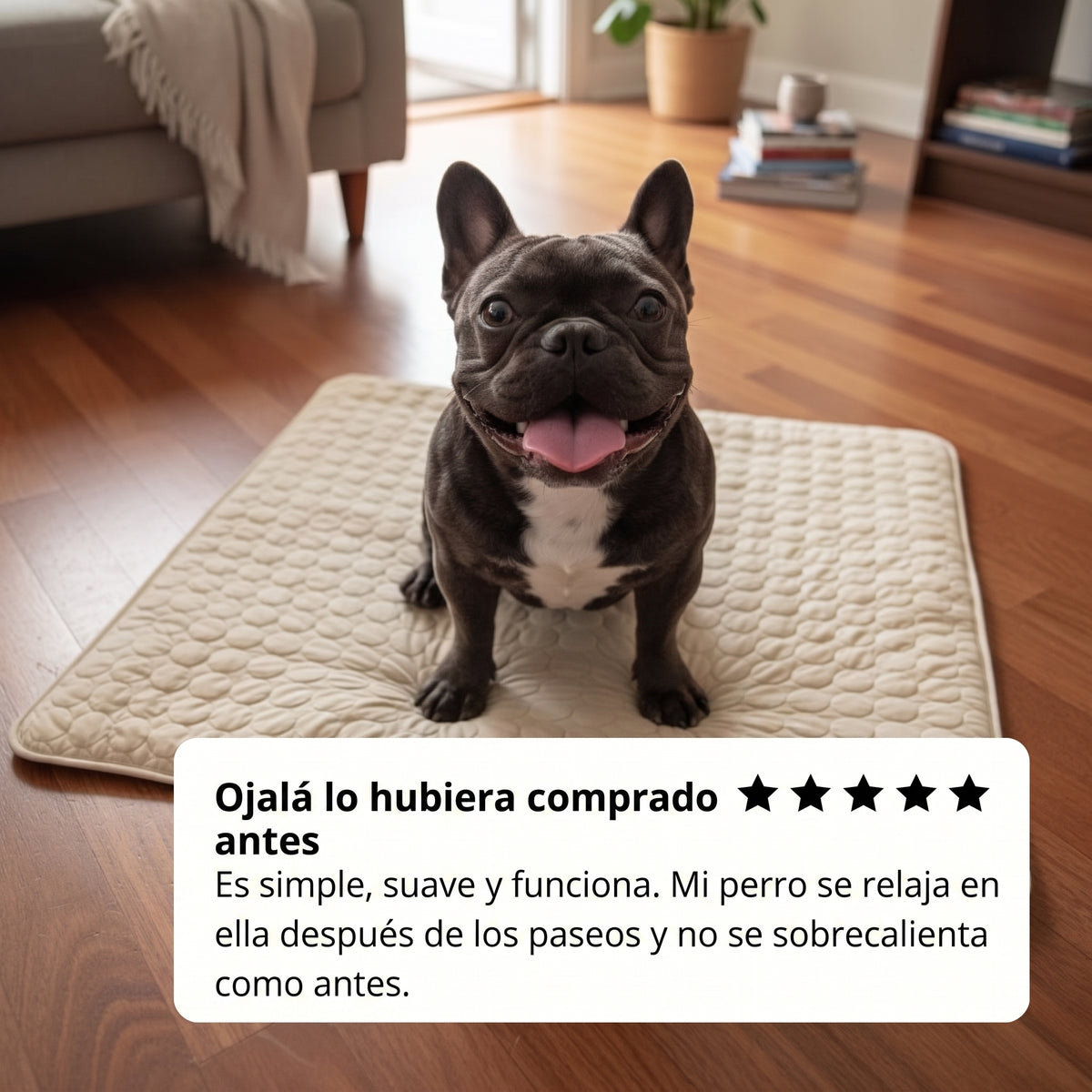 Arctic™ Esterilla refrescante para perros