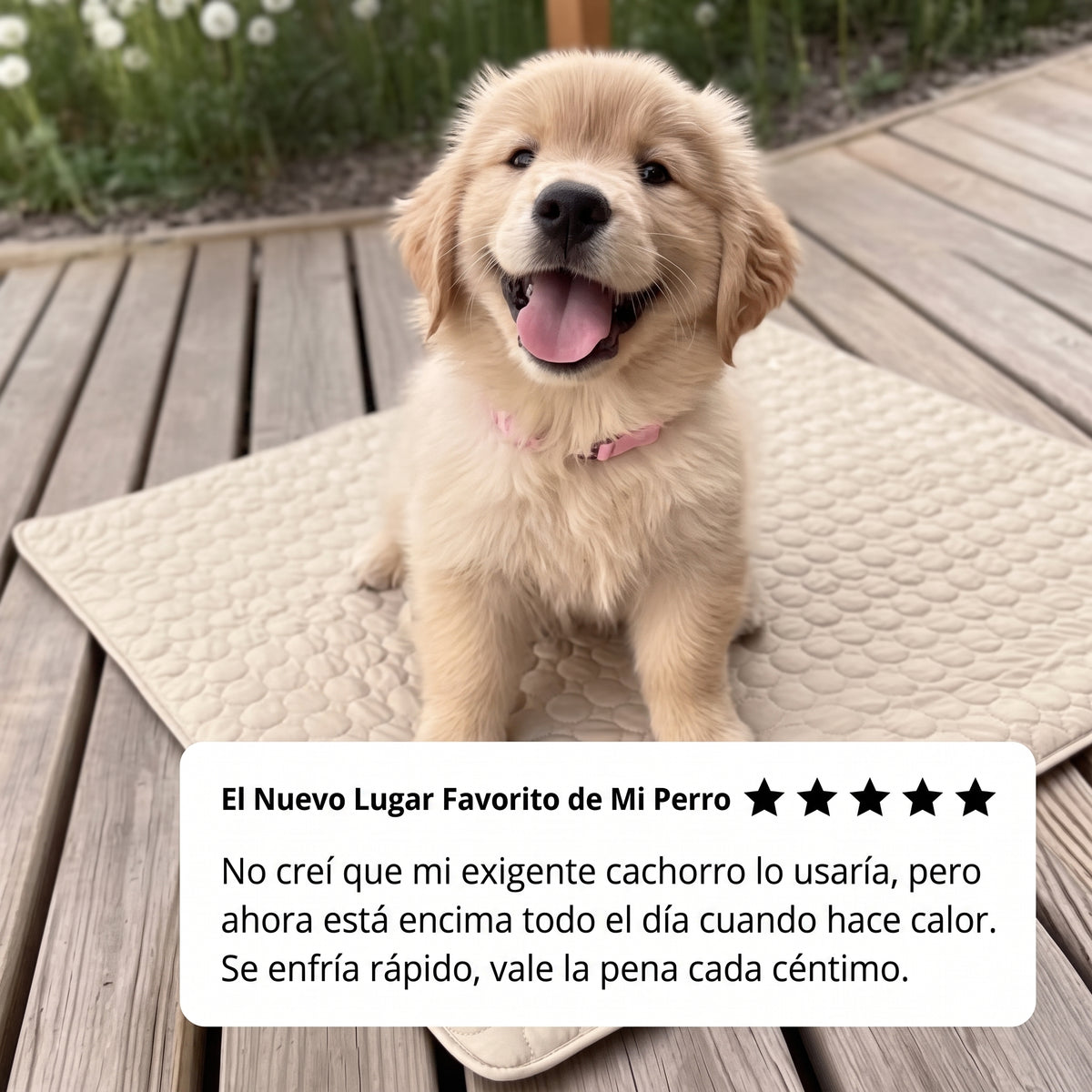 Arctic™ Esterilla refrescante para perros