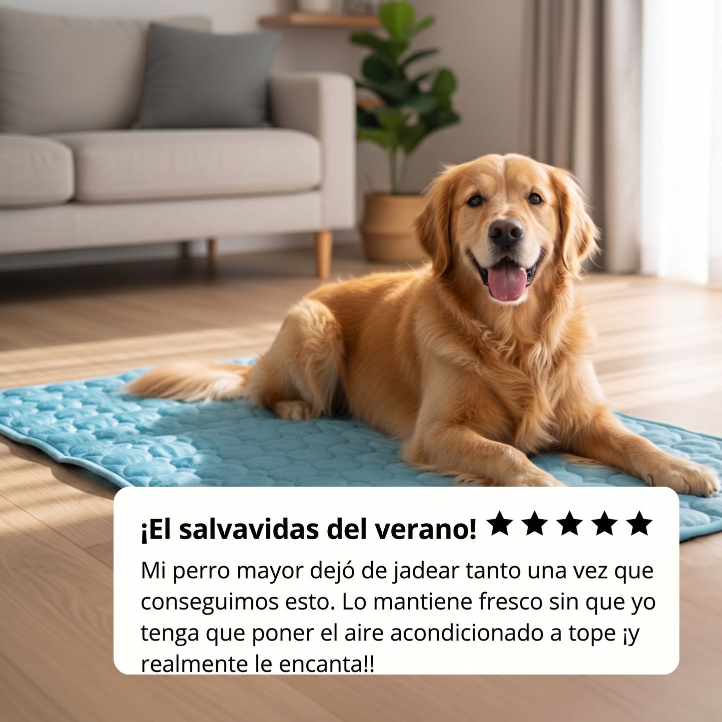 Arctic™ Esterilla refrescante para perros